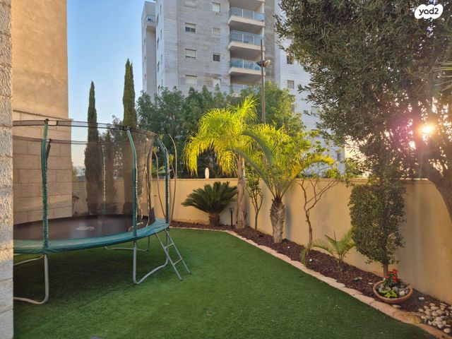 שחף 2