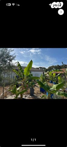 אביגדור עשת 60