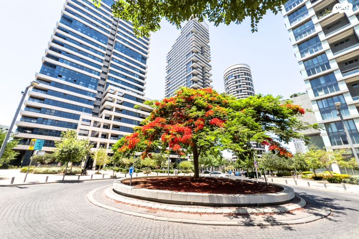 דירה, ניסים אלוני, צמרות איילון, פארק צמרת, תל אביב יפו