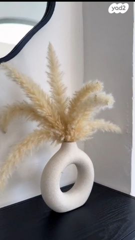 דופלקס, סמטת שיטרית 6, עמידר, טירת כרמל