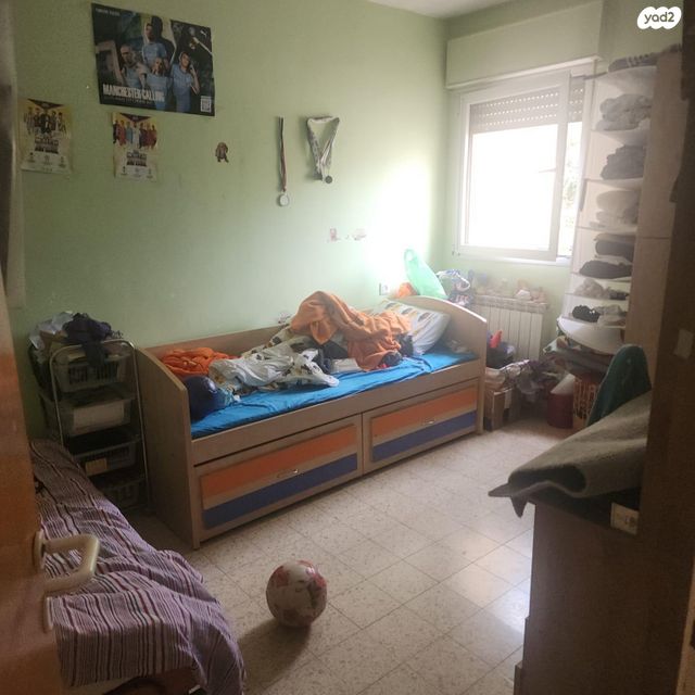 בן ציון דינור 