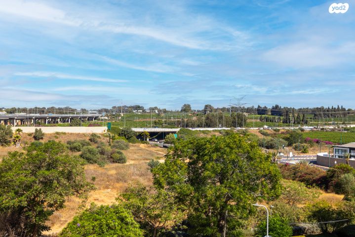 דירה, שאול המלך, נס ציונה