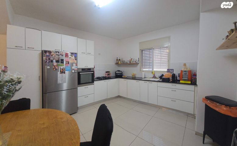 דופלקס, איסר הראל, כוכב הצפון, נתניה