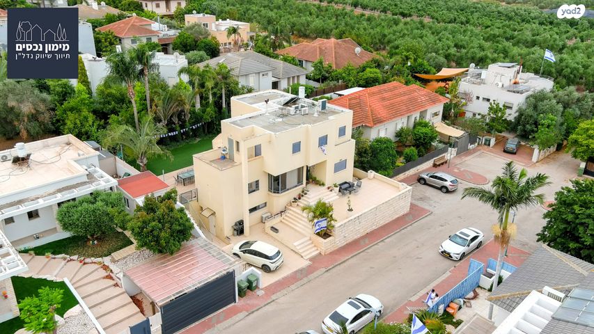 הסנונית 