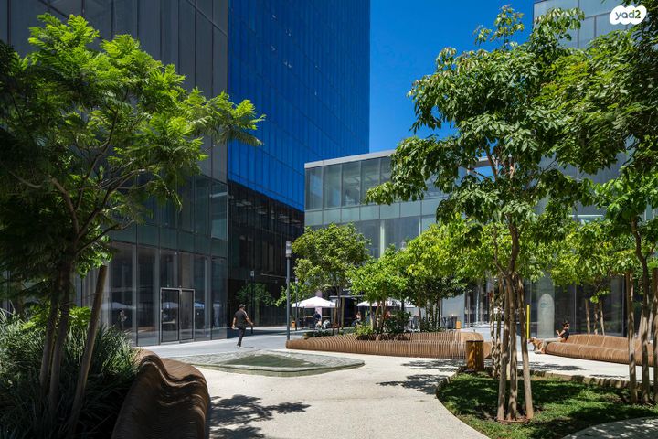 מונטיפיורי, הרכבת