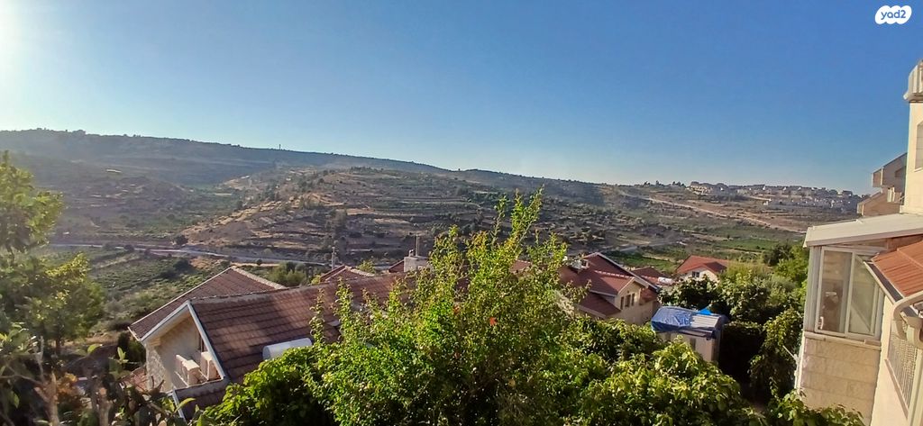 דירת גן, שדרות דוד המלך, אפרת