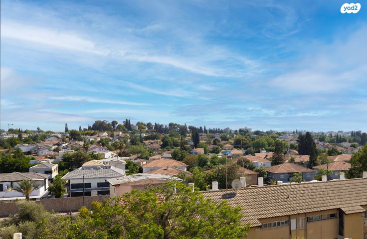 דירה, שאול המלך, נס ציונה