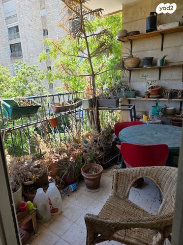 אלוף שמחוני 