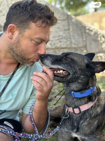 תמונת מודעה - חיות מחמד