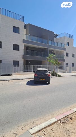 רימון 7