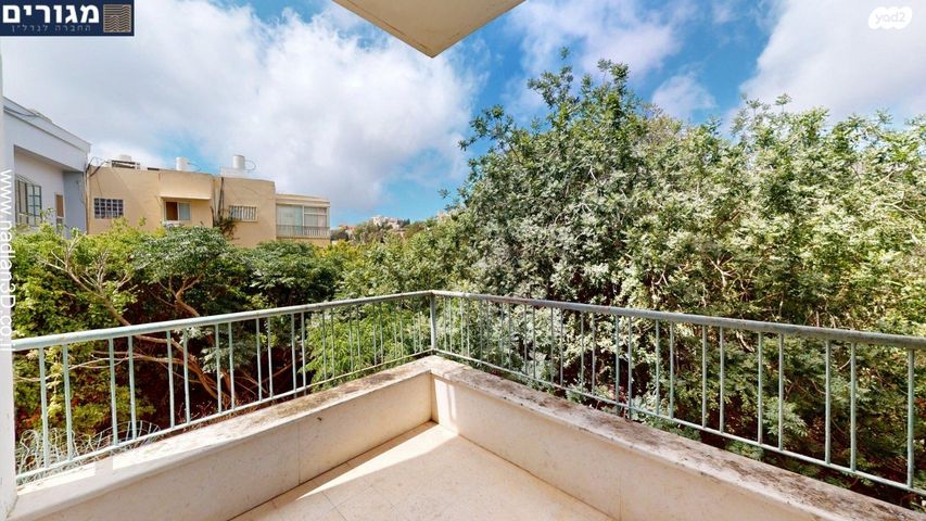 שושנת הכרמל 