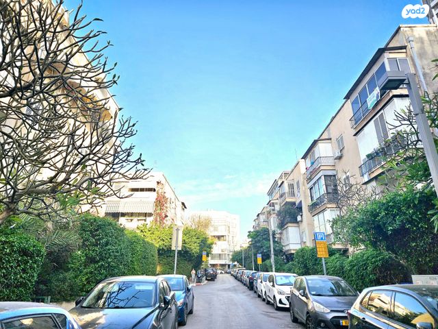 הצפון החדש - דרום