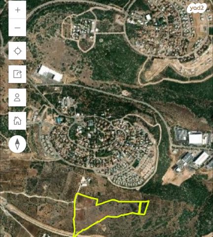 שקד