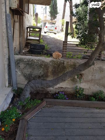 דירת גן, חרל"פ, רחביה, ירושלים