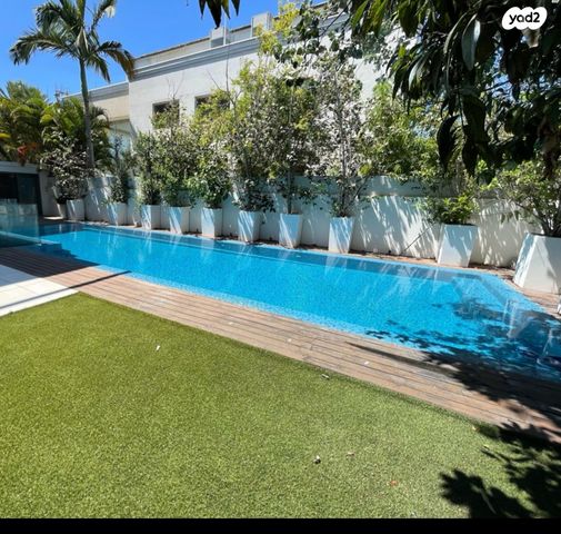 שלמה המלך 34