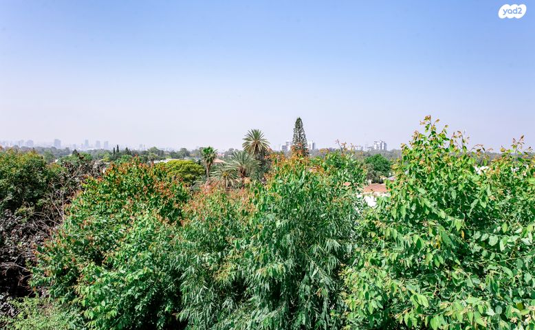 גג/ פנטהאוז, רסקו ג', הוד השרון