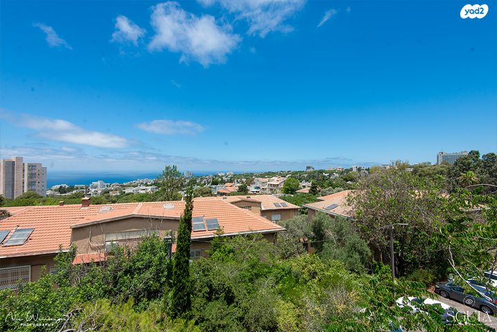 דירה, שדרות הצבי, כבירים, חיפה