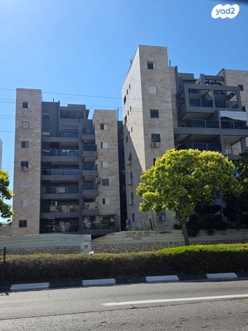 אברהם שפירא 