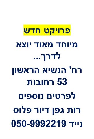 גג/ פנטהאוז