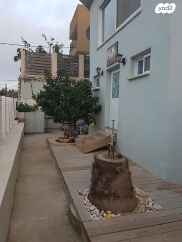 הארז 19