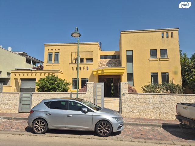 הנרקיס 11