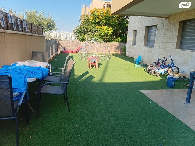 שקד 12