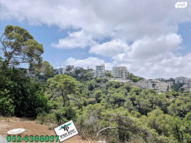 דירת גן, מרכז הכרמל, חיפה