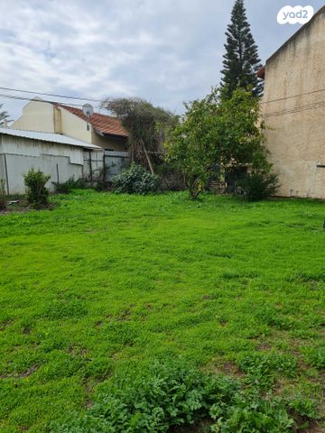 מגרשים, חיים נחמן ביאליק, יהוד מונוסון