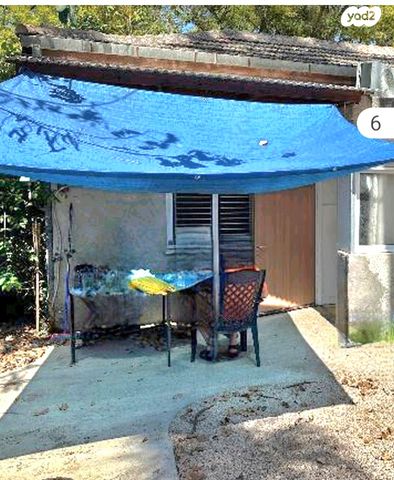 דו משפחתי, גבת