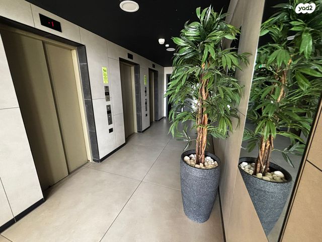 דירה, נחליאלי, צפון הכרם, עכו