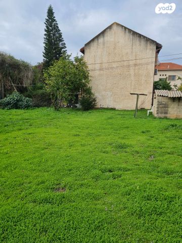 מגרשים, חיים נחמן ביאליק, יהוד מונוסון