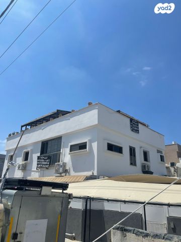 מקס וג'סי כהן 