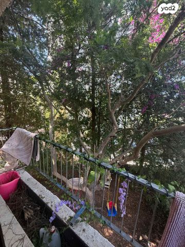 דירה, לסקוב, רמת גולדה, חיפה