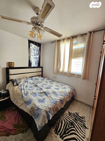 דירה, דוד אלעזר, אור יהודה