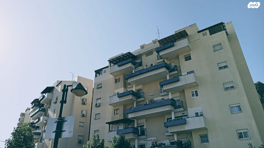השזיף 