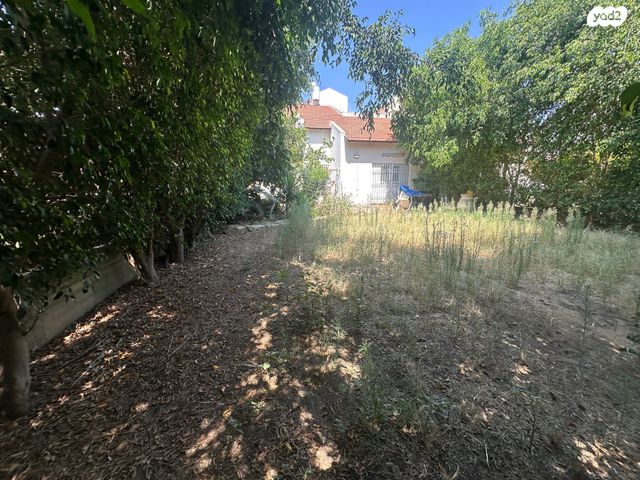 דו משפחתי, התאנה, מרכז שפירא