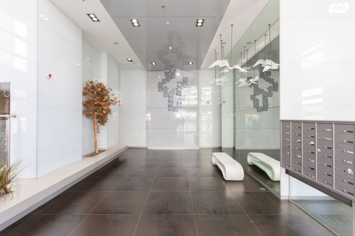 דירה, אלמוג, רמת חביב / רמת הנשיא, חיפה