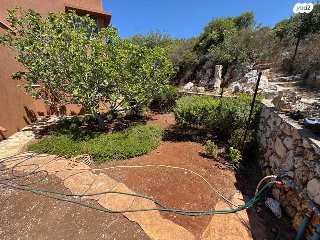 בית פרטי/ קוטג', אלמוג, לבון