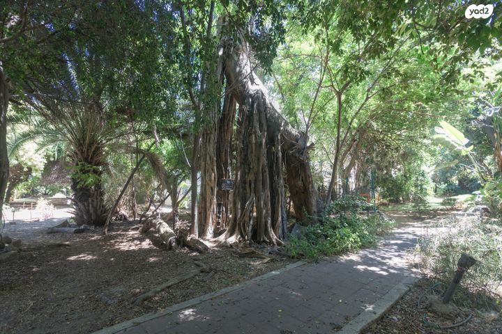 דירה, מאנה, הצפון החדש - דרום, תל אביב יפו