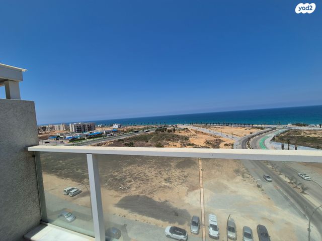 צדפים 