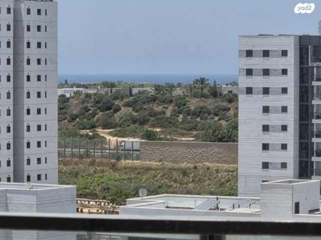 אילות השדה 