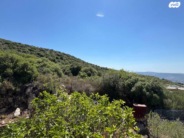 בית פרטי/ קוטג', אלמוג, לבון