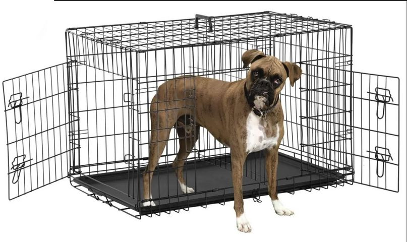 תמונת מודעה - חיות מחמד