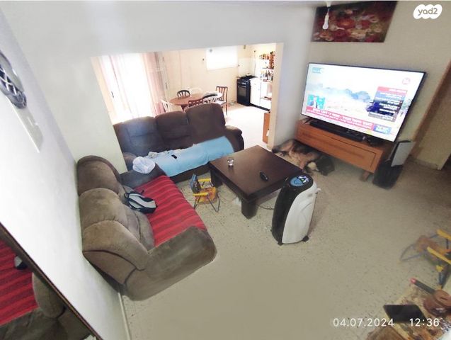 דו משפחתי, צמח 59, בתרא, קצרין