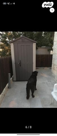 דירת גן, מבוא הגפן 2, העמק, צור הדסה