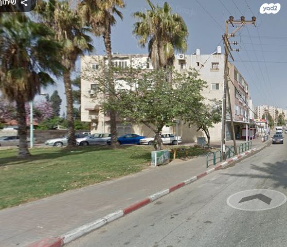 הפרחים