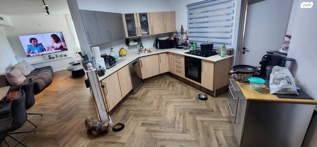 דירה, אלכסנדר סשה ארגוב 4, המשתלה, תל אביב יפו