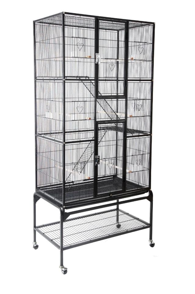 תמונת מודעה - חיות מחמד