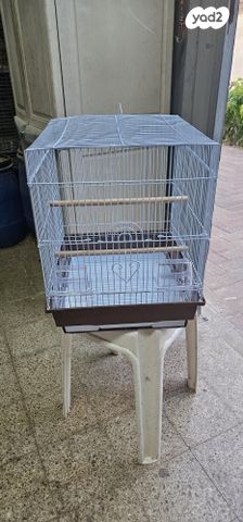 תמונת מודעה - חיות מחמד