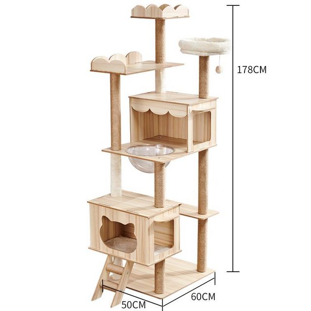 אביזרים | משחקים וצעצועים